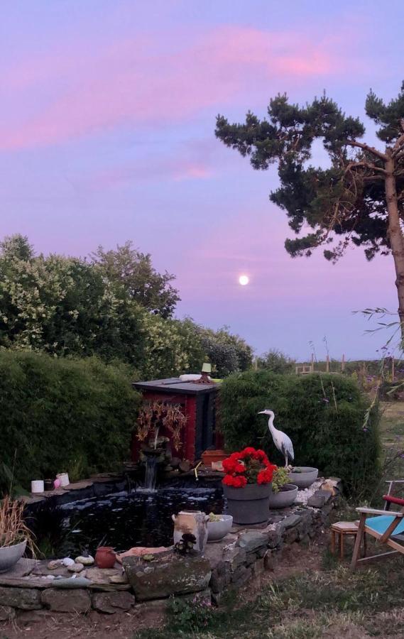 Bed and Breakfast La Korrigane Groix Esterno foto